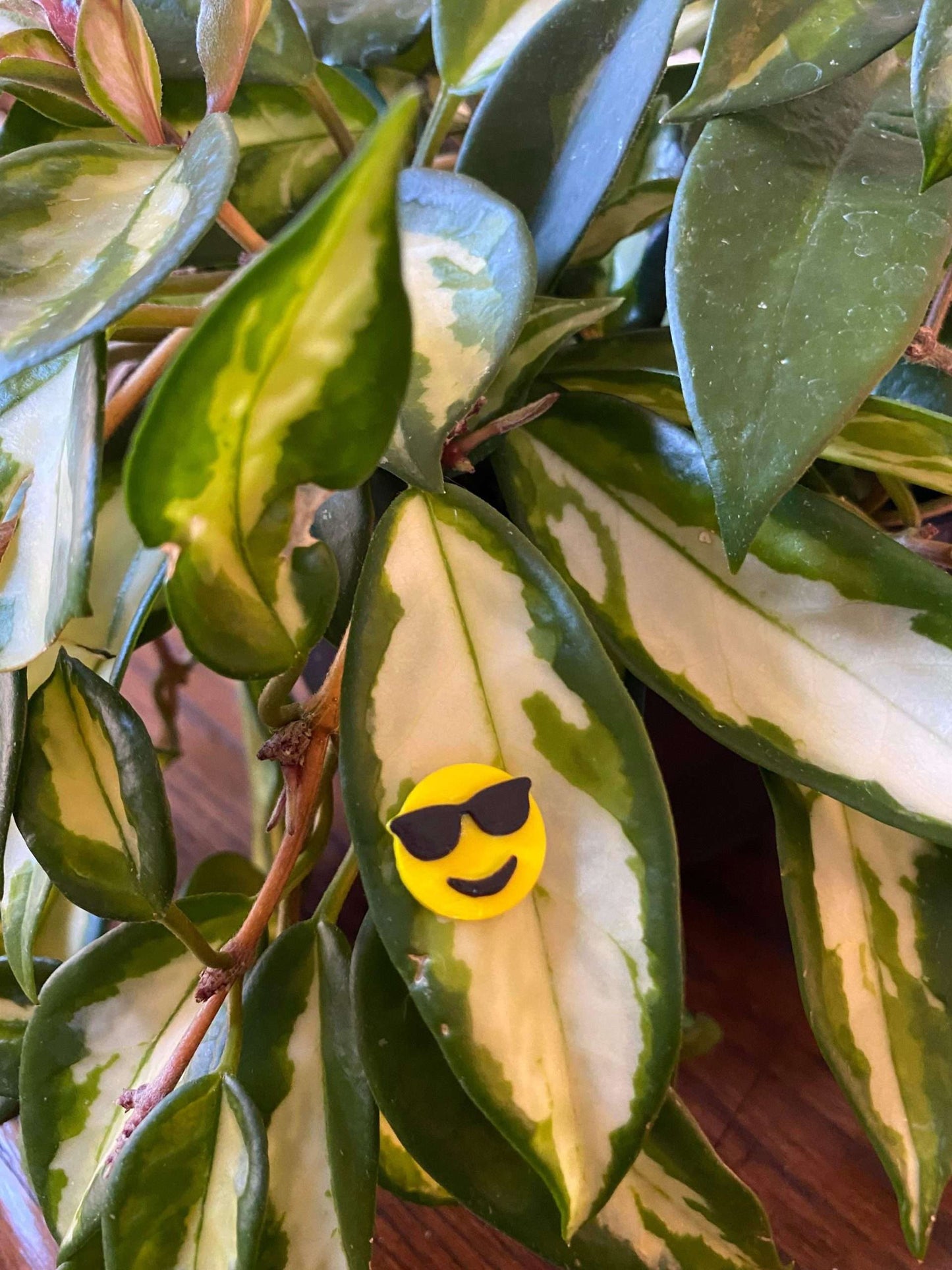 Plant-Moji Plant Magnets - set of 5 magnets to decorate your plants!