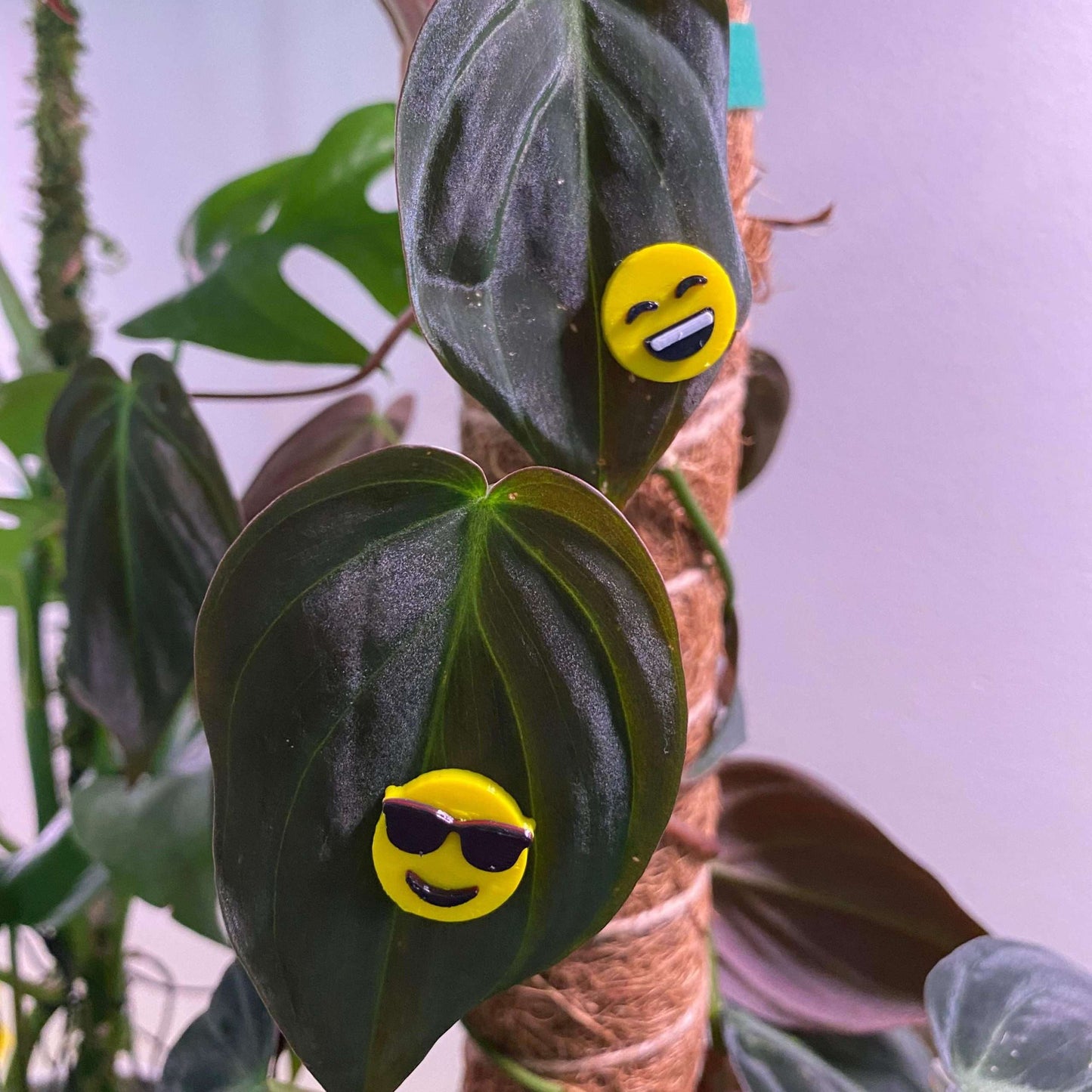 Plant-Moji Plant Magnets - set of 5 magnets to decorate your plants!