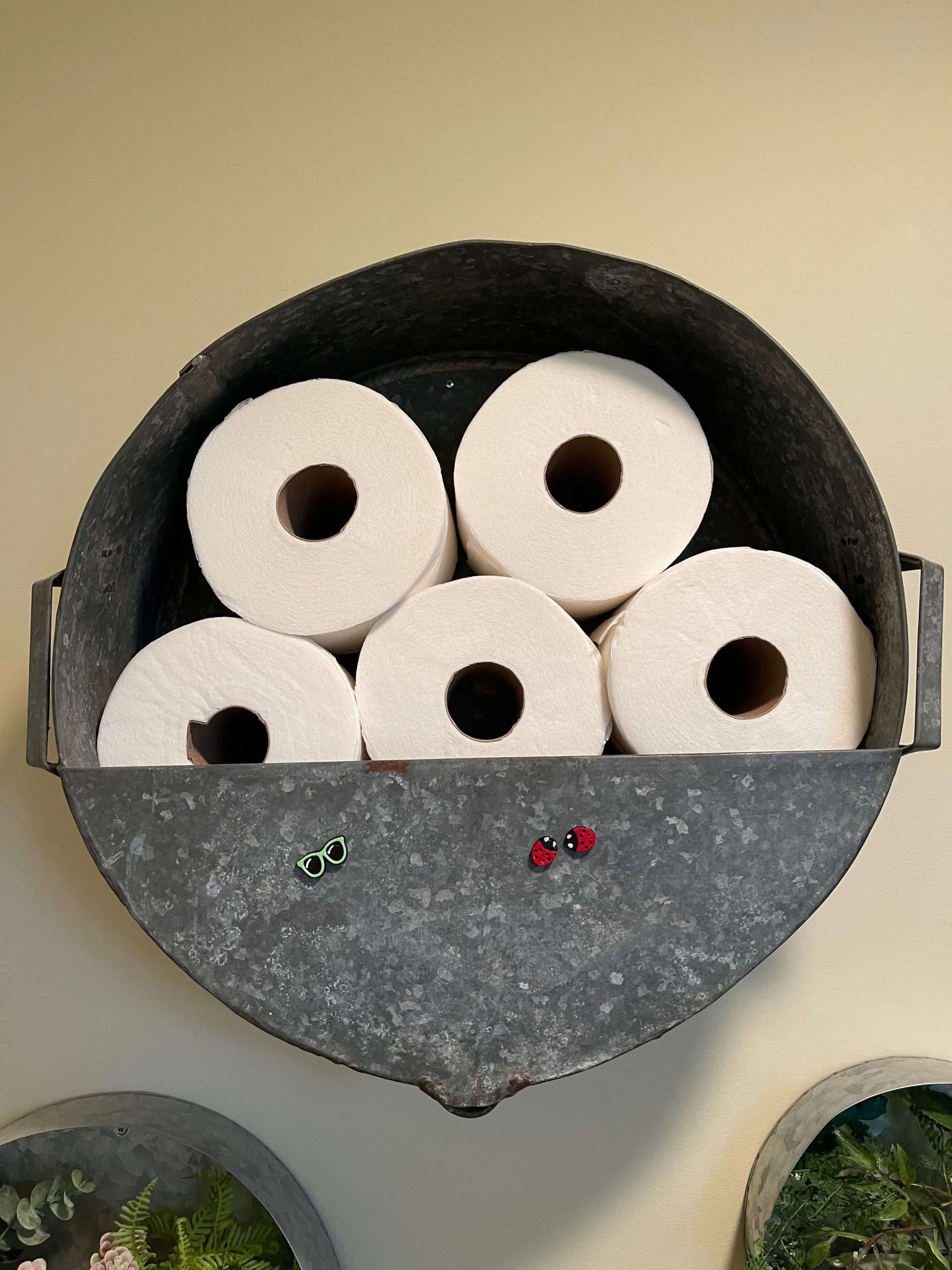 Plant Magnets - glasses and insects!