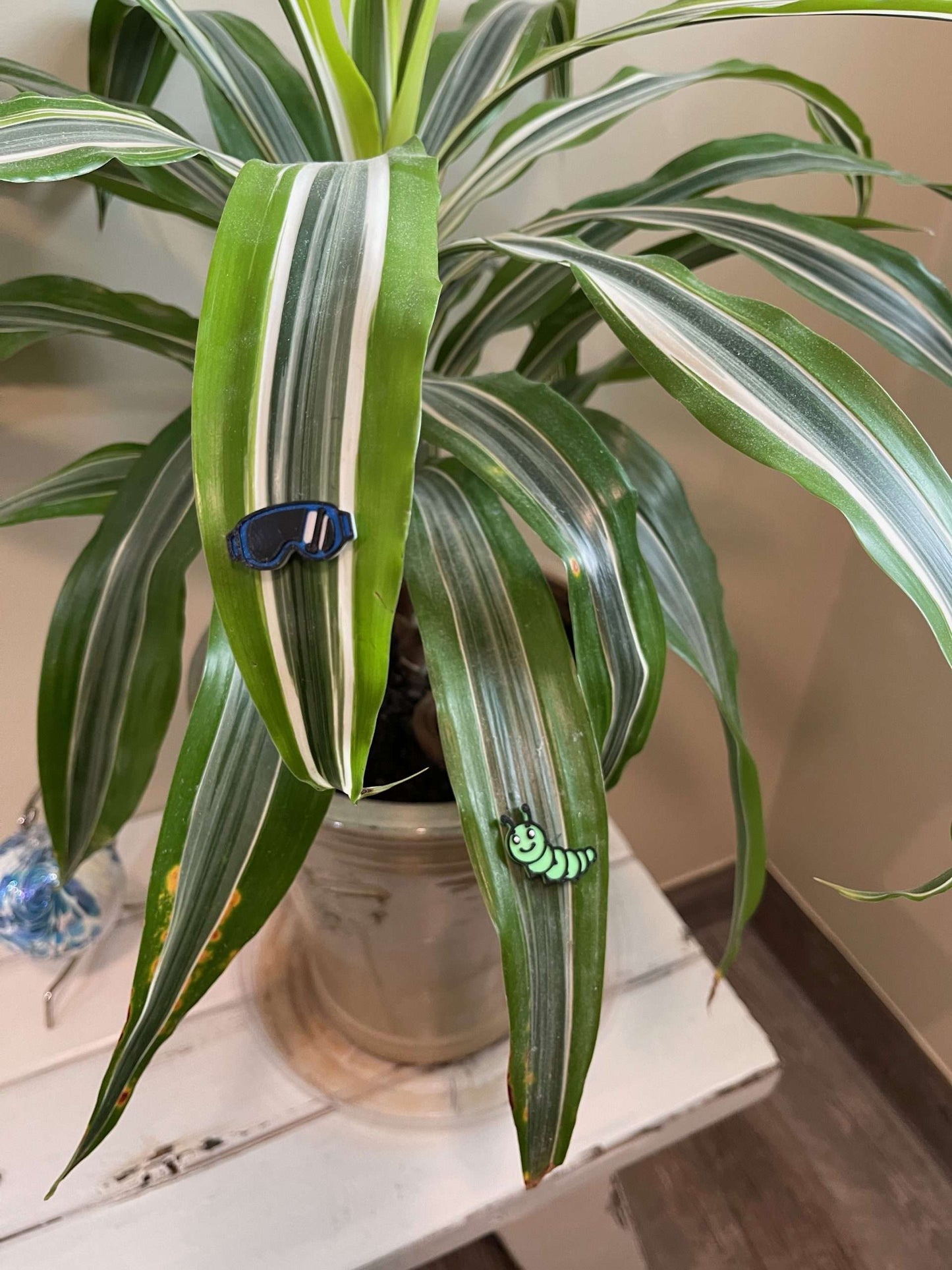 Plant Magnets - glasses and insects!