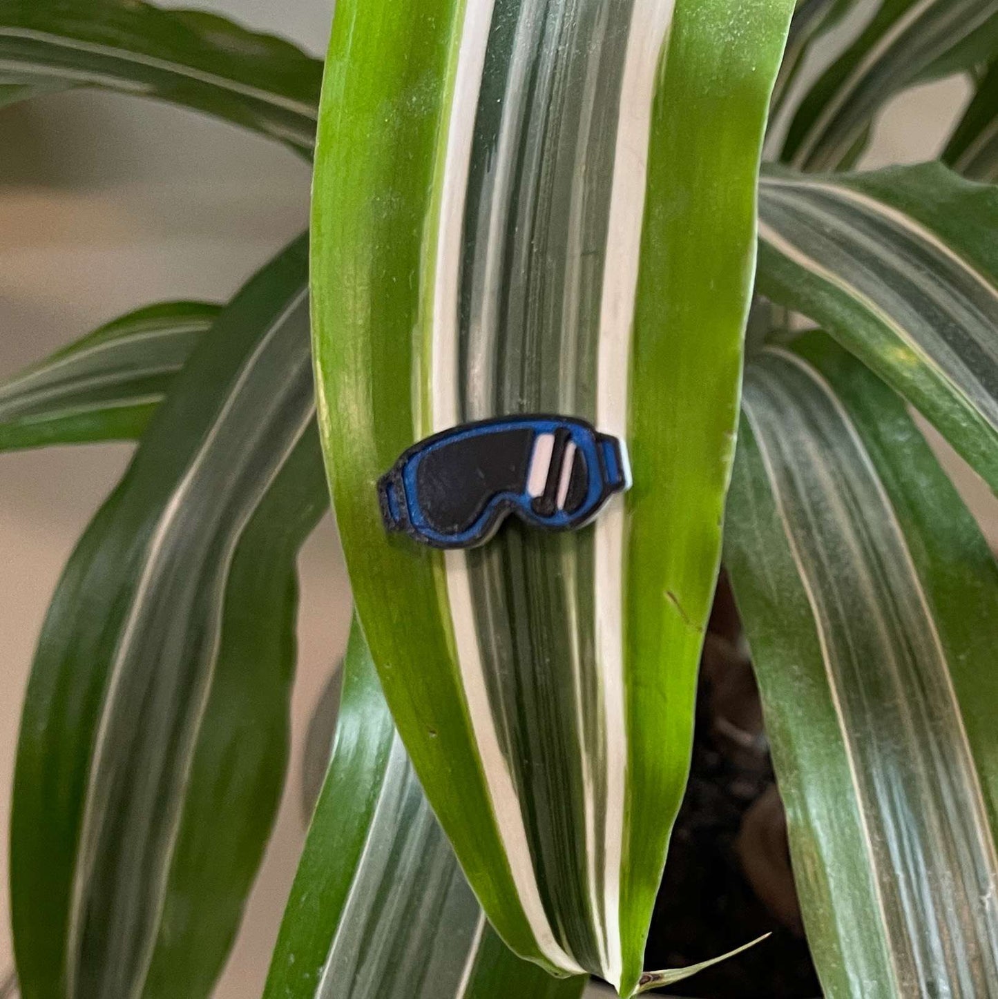 Plant Magnets - glasses and insects!