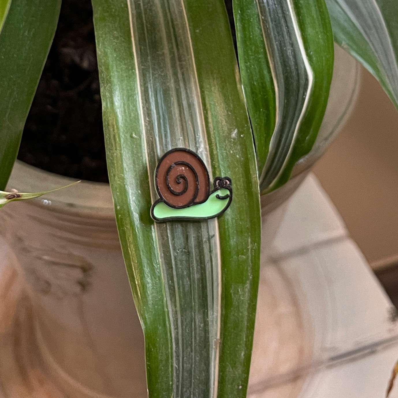 Plant Magnets - glasses and insects!