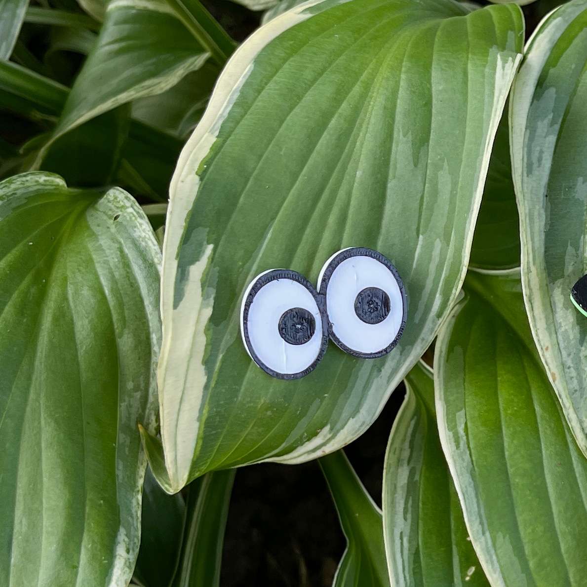 Plant Magnets - glasses and insects!