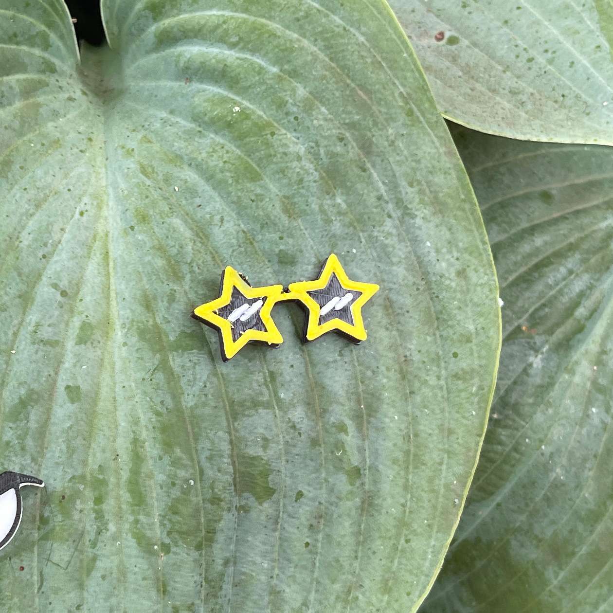 Plant Magnets - glasses and insects!