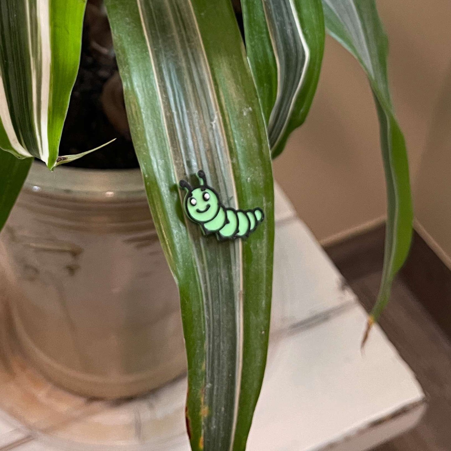 Plant Magnets - glasses and insects!