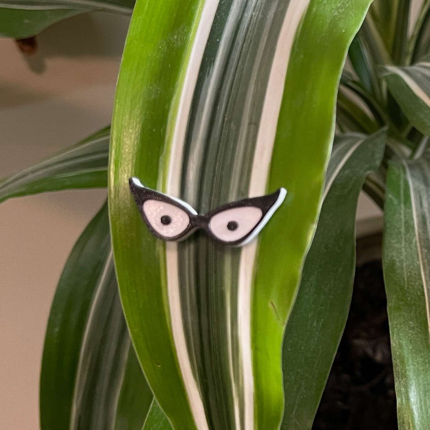 Plant Magnets - glasses and insects!