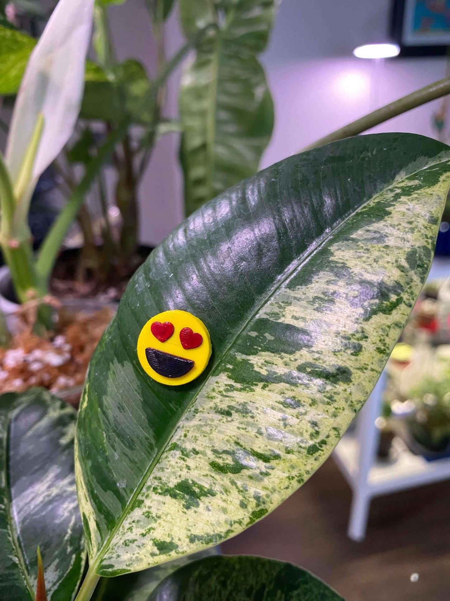 Plant-Moji Plant Magnets - set of 5 magnets to decorate your plants!