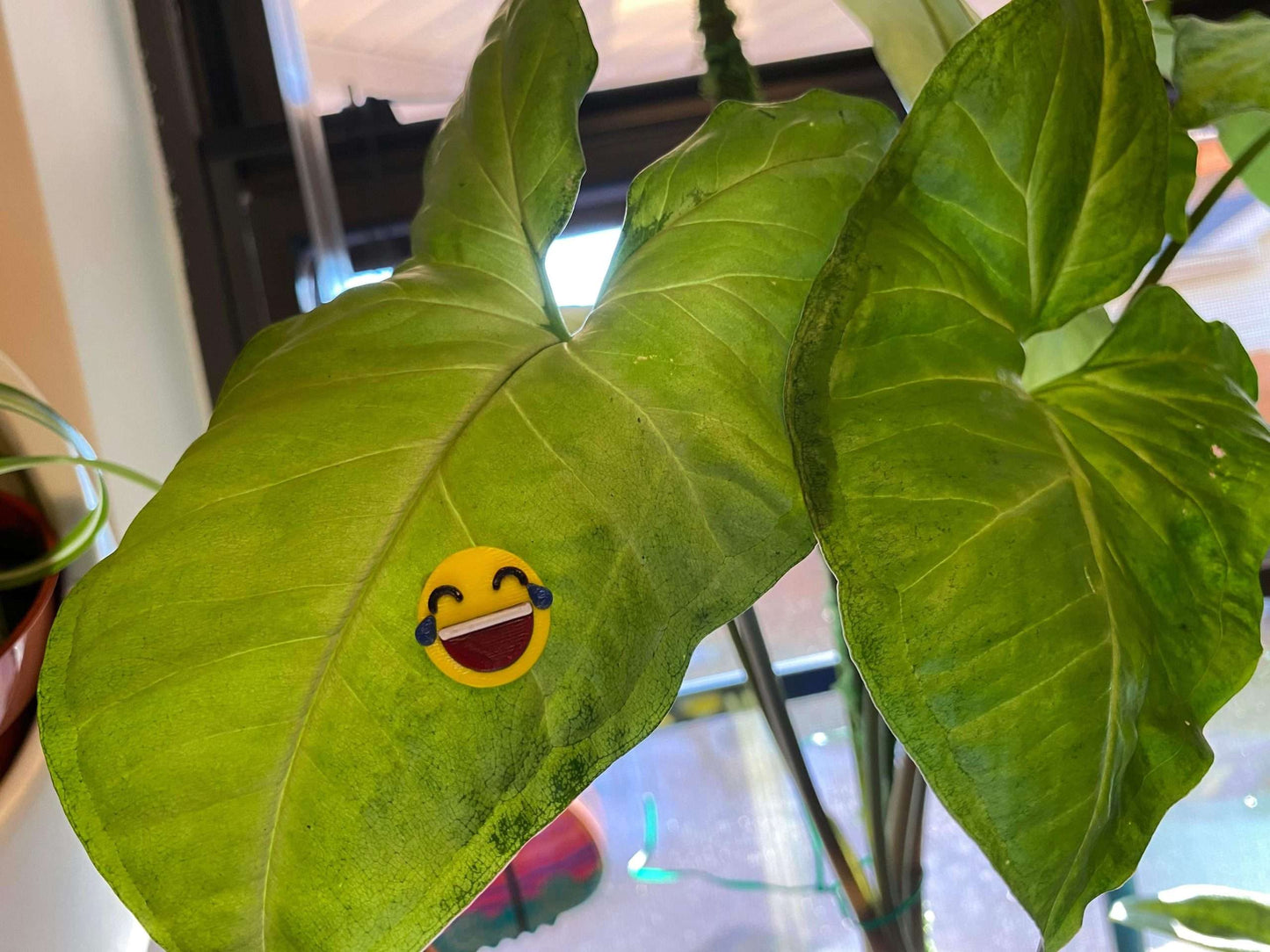 Plant-Moji Plant Magnets - set of 5 magnets to decorate your plants!