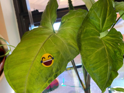 Plant-Moji Plant Magnets - set of 5 magnets to decorate your plants!