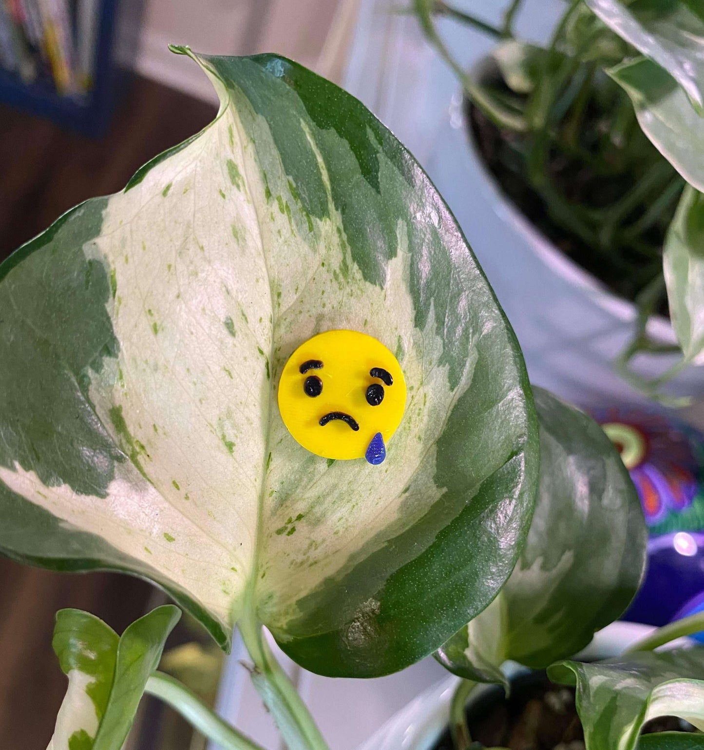 Plant-Moji Plant Magnets - set of 5 magnets to decorate your plants!