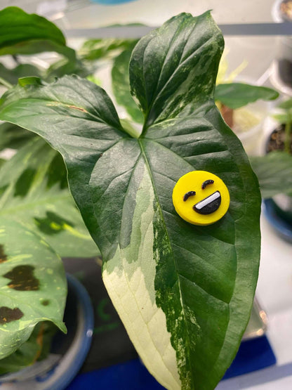 Plant-Moji Plant Magnets - set of 5 magnets to decorate your plants!