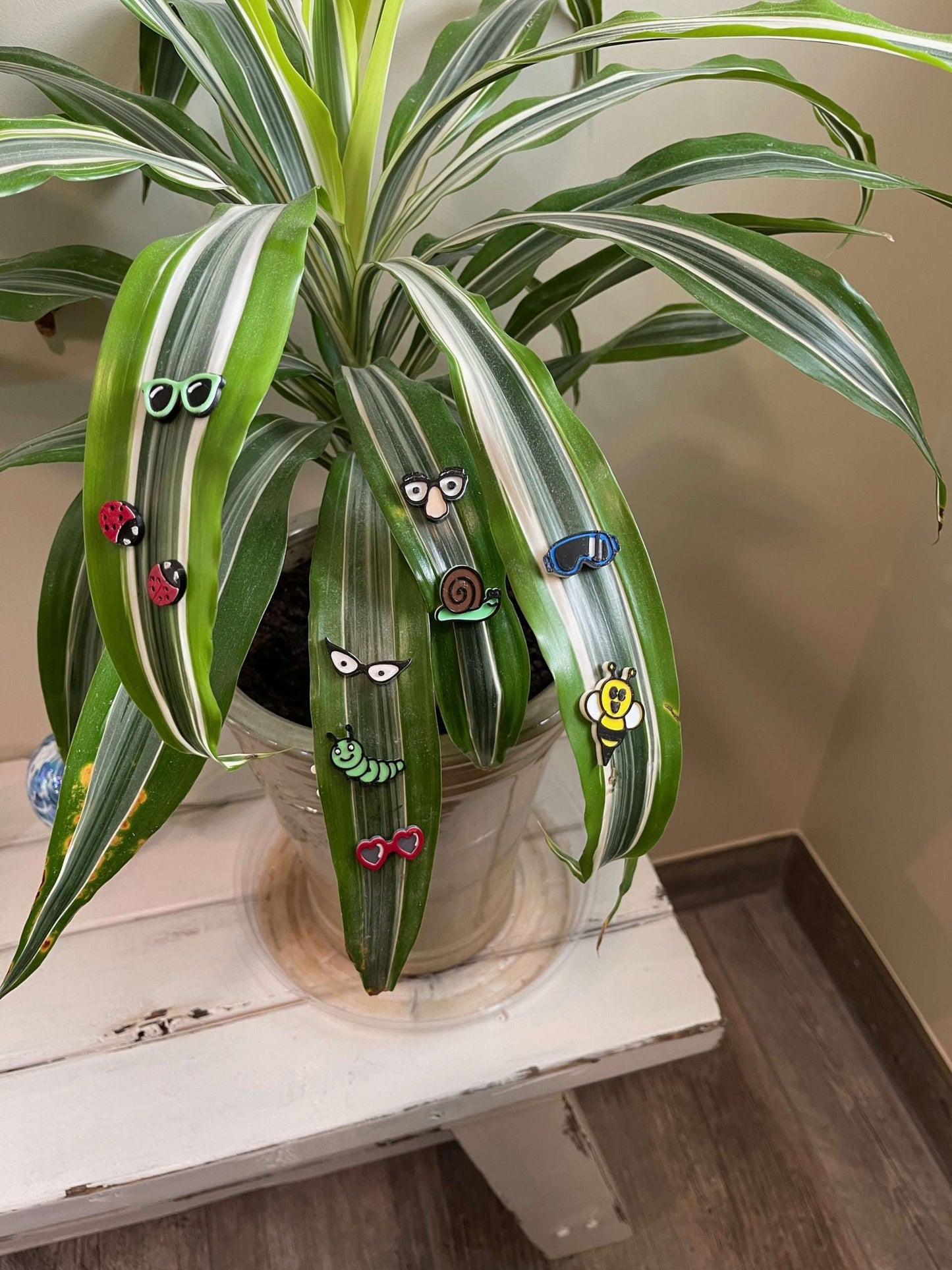 Plant Magnets - glasses and insects!