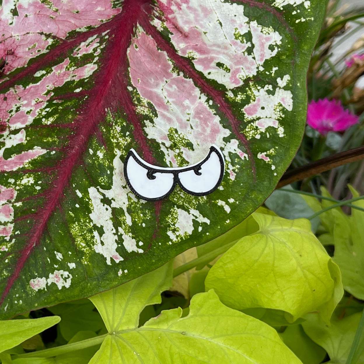 Plant Magnets - glasses and insects!