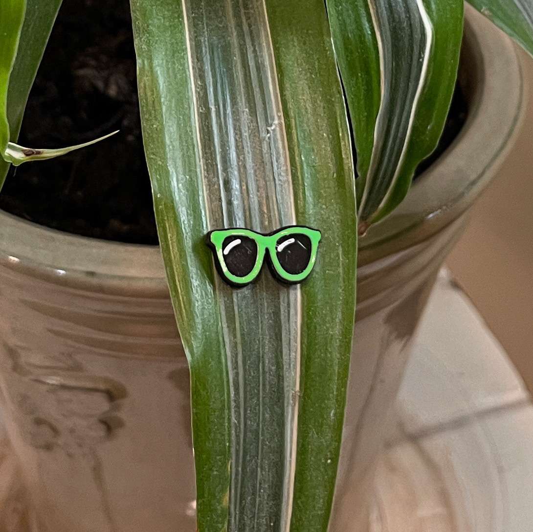 Plant Magnets - glasses and insects!