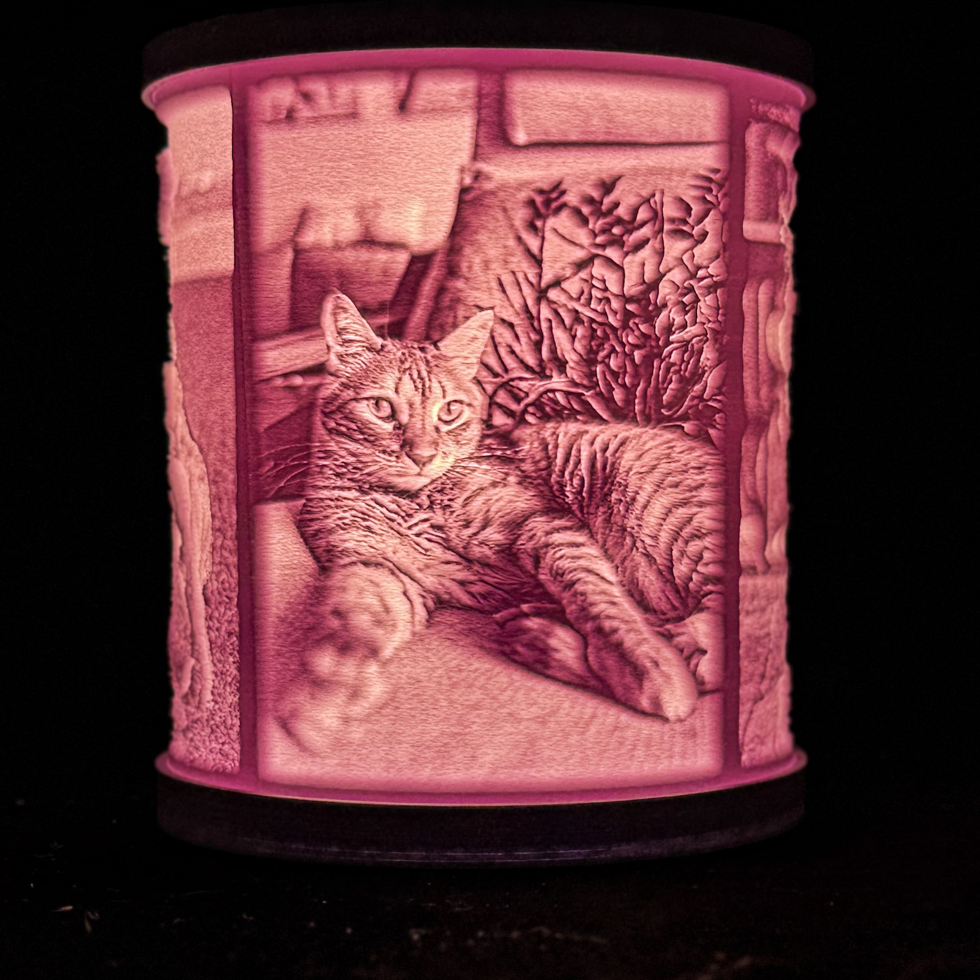 Lit pet memorial lithophane lamp showing a cat resting on a chair, with fine photo details glowing through the shade.