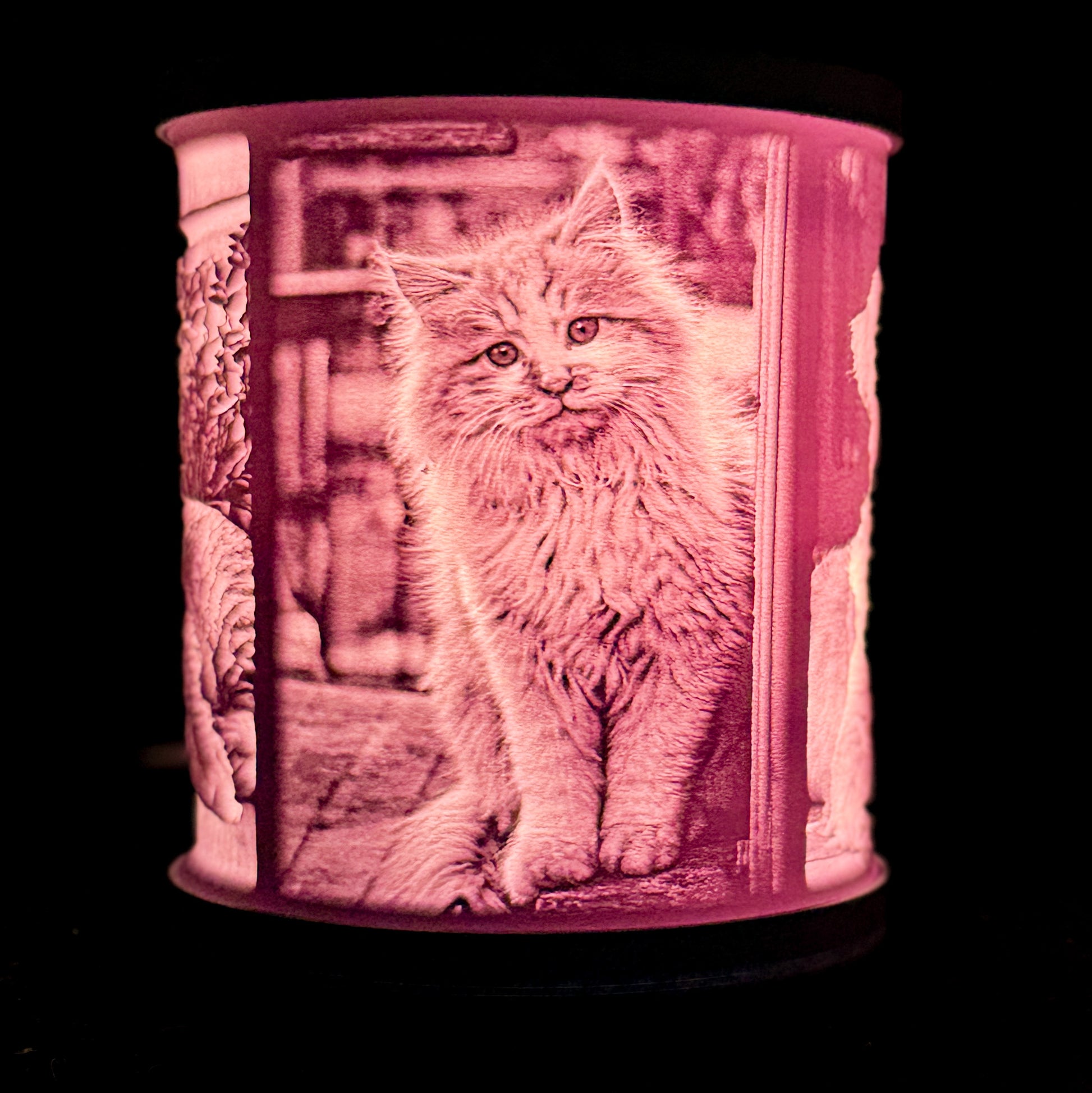 Lit pet memorial lithophane lamp showing a cat resting on a chair, with fine photo details glowing through the shade.