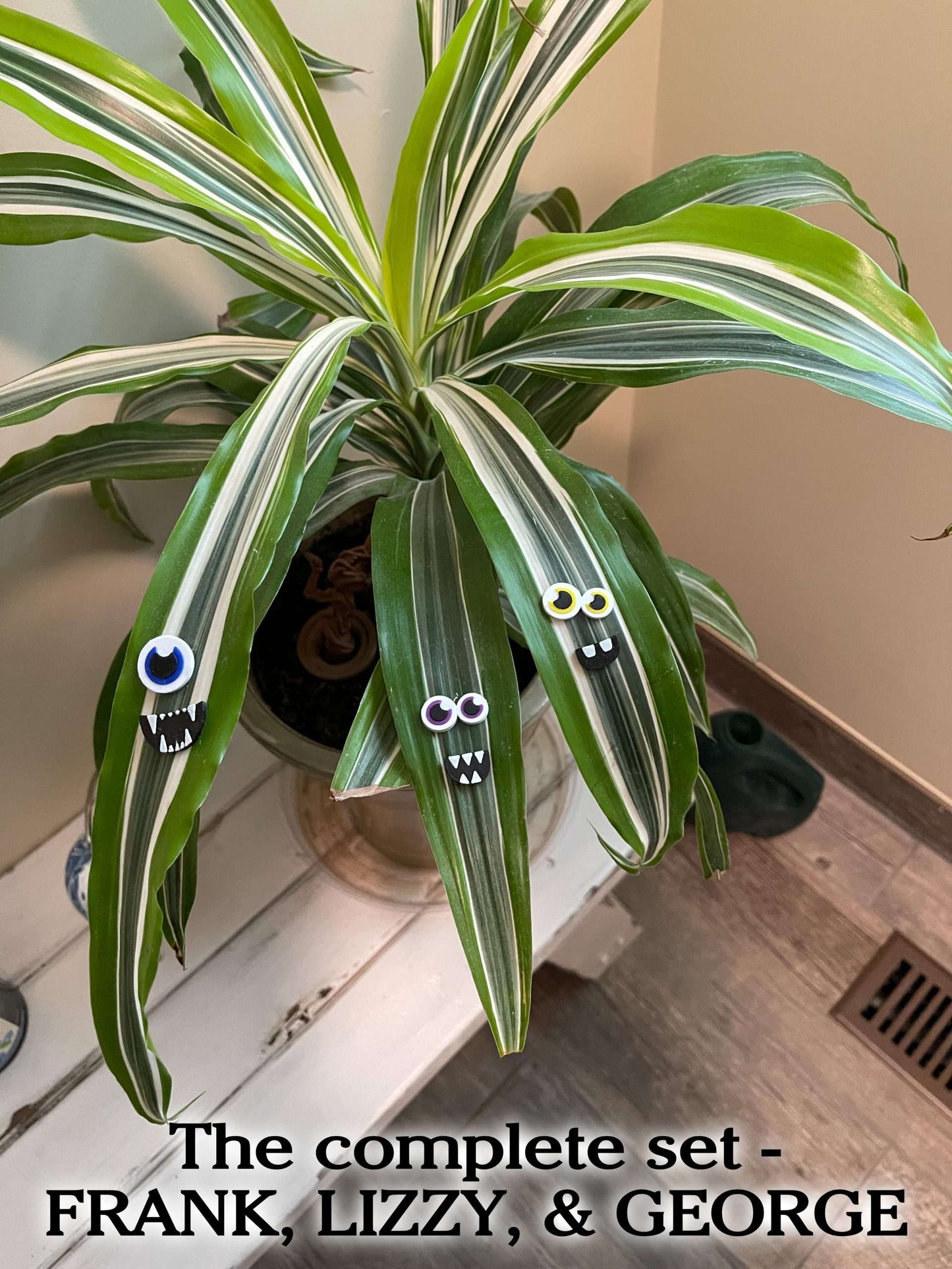 Set of 3 Plant MONSTER Magnets!