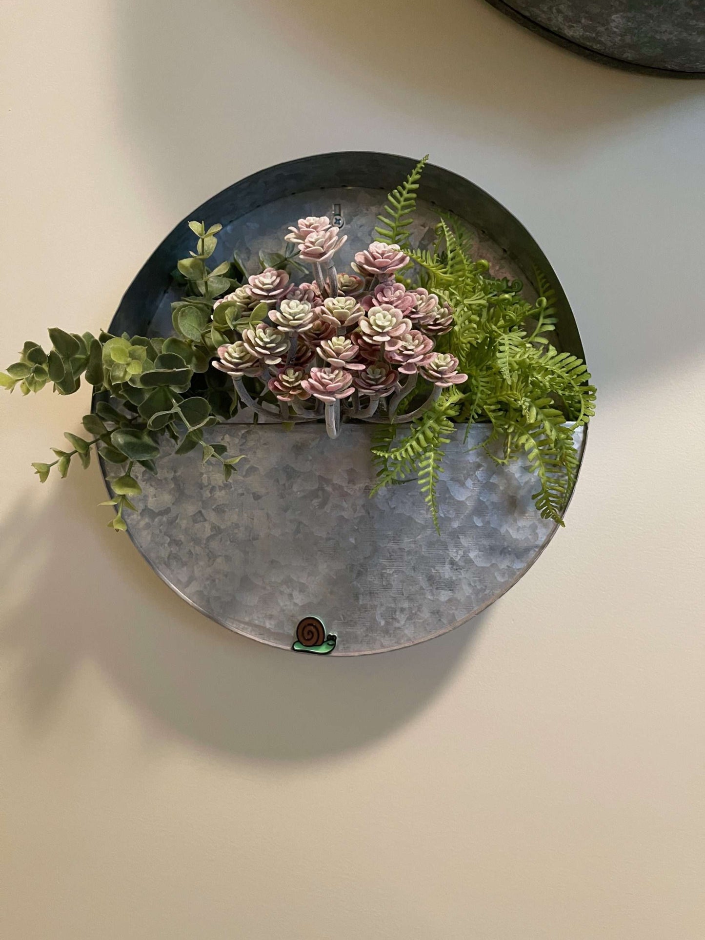 Plant Magnets - glasses and insects!