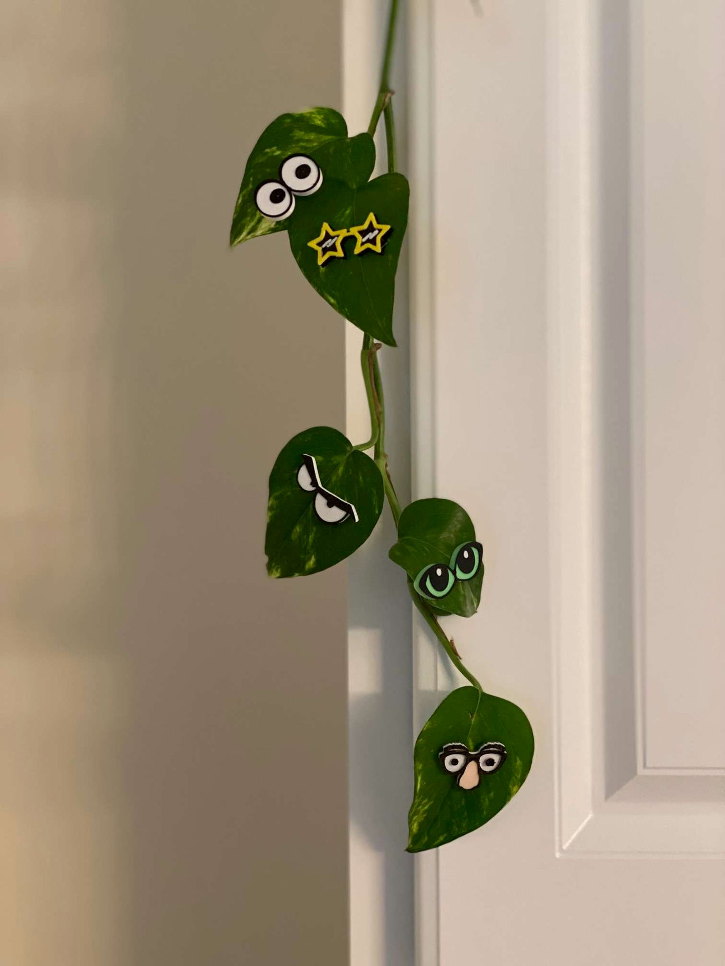 Plant Magnets - glasses and insects!