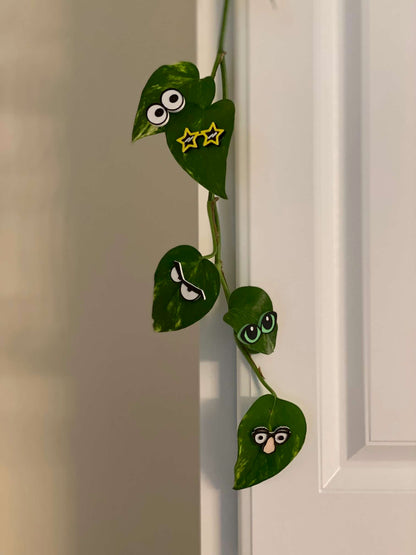 Plant Magnets - glasses and insects!