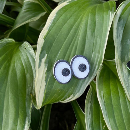 Plant Magnets - glasses and insects!