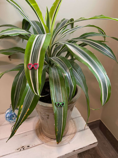 Plant Magnets - glasses and insects!