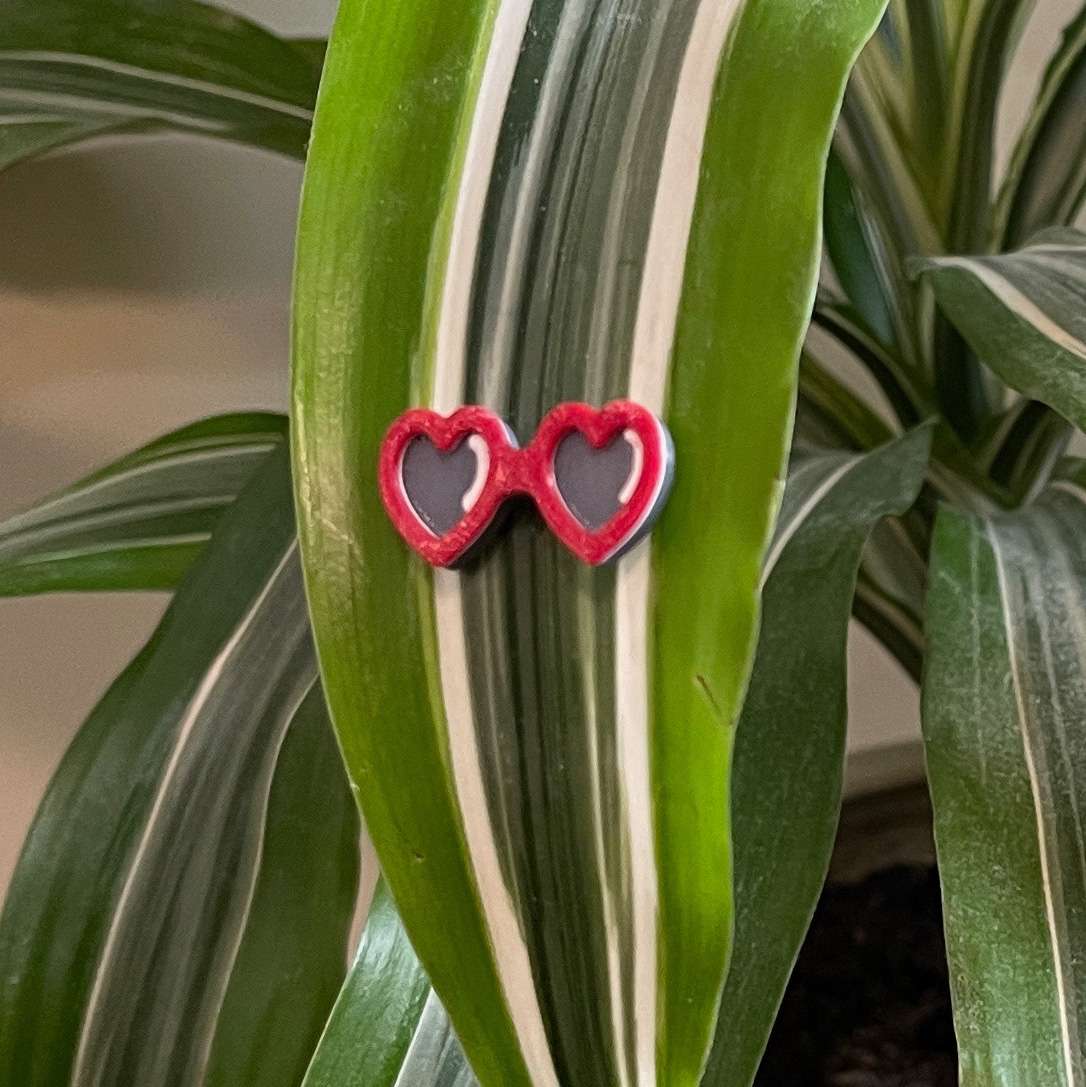 Plant Magnets - glasses and insects!