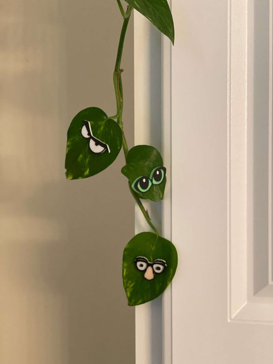 Set of Three Plant Magnets - Mix and Match your favorites!  Glasses, Insects, and now Eyes!
