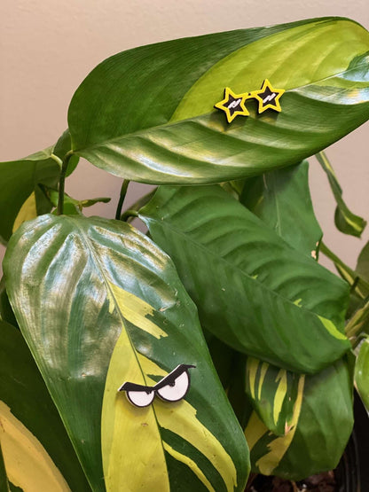 Plant Magnets - glasses and insects!