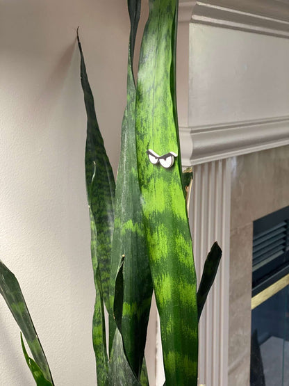 Plant Magnets - glasses and insects!