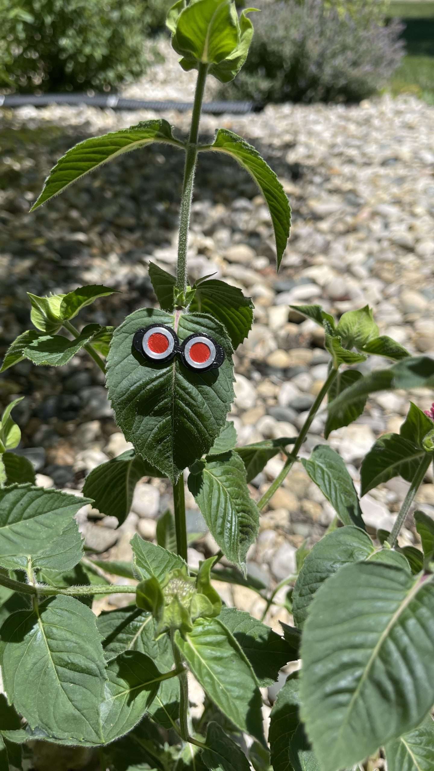 Steampunk Plant Magnets - Set of three plant magnets in the steampunk theme!