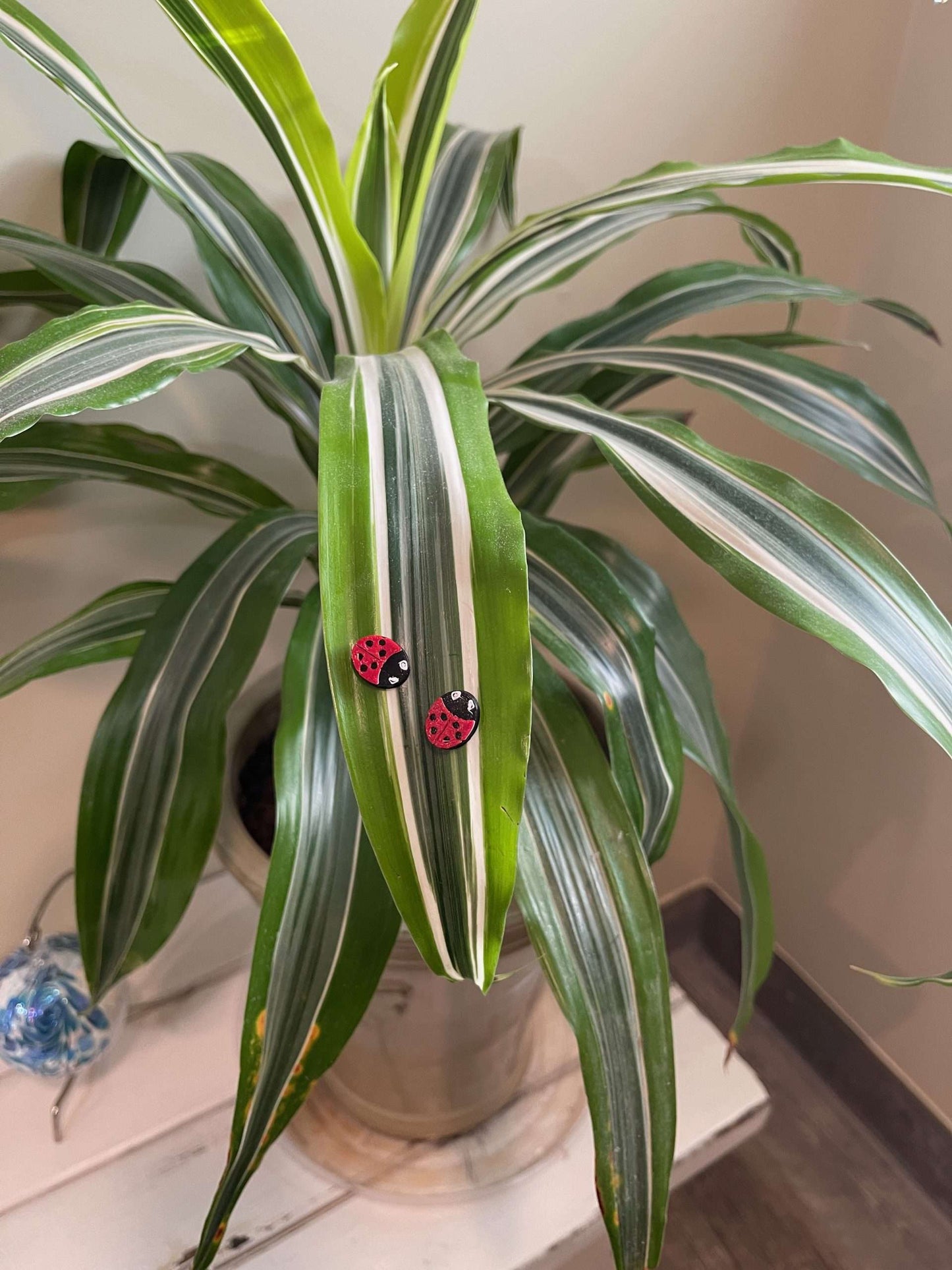 Plant Magnets - glasses and insects!