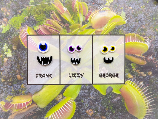 Set of 3 Plant MONSTER Magnets!