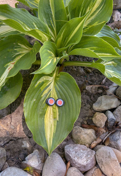 Steampunk Plant Magnets - Set of three plant magnets in the steampunk theme!