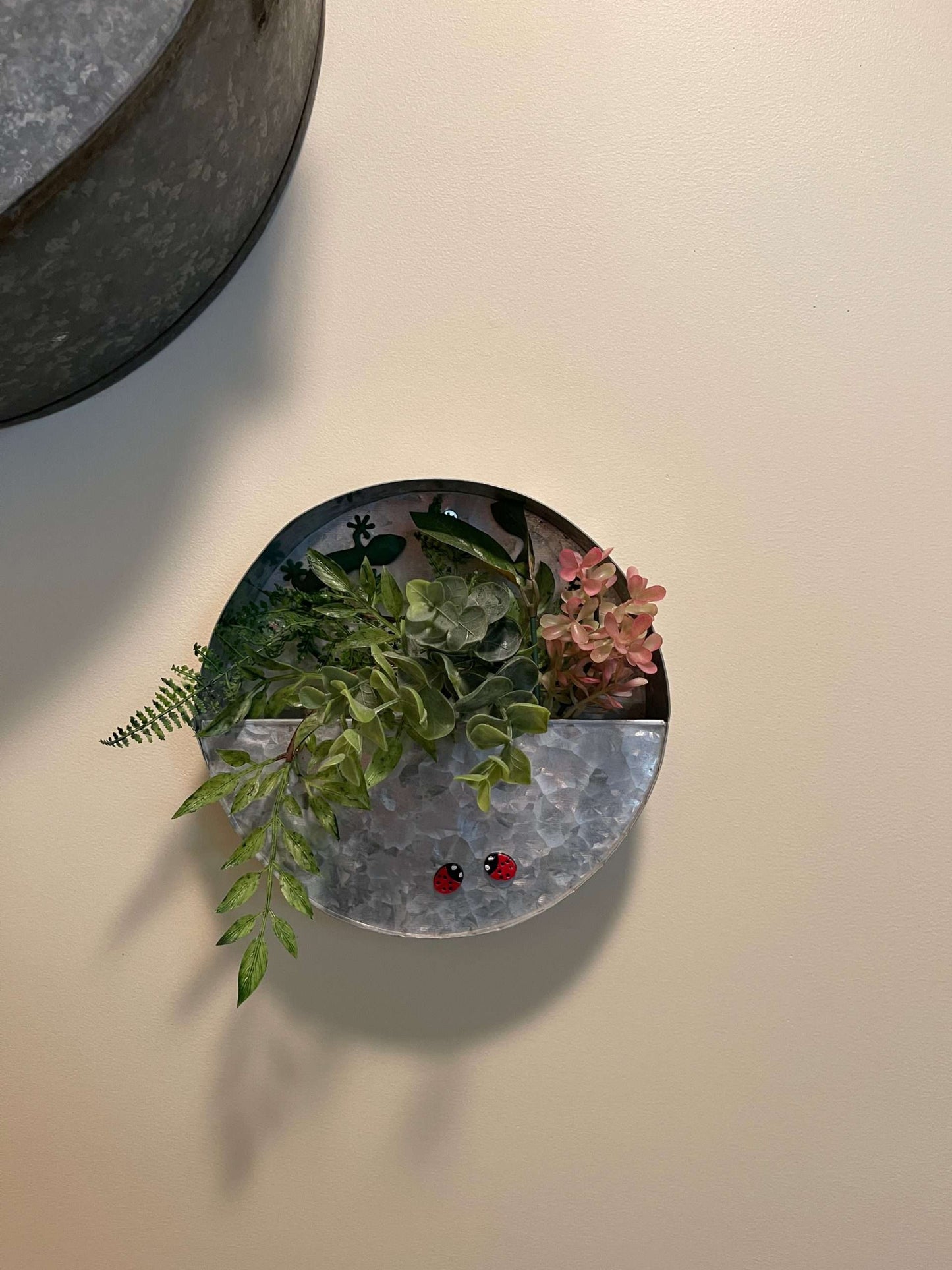 Plant Magnets - glasses and insects!