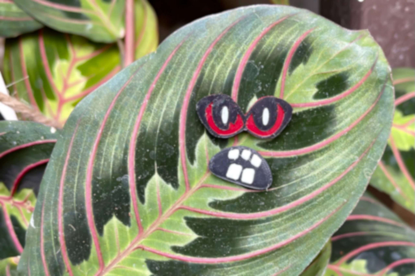 Set of 3 More Plant Monster Magnets!