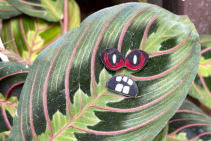 Set of 3 More Plant Monster Magnets!