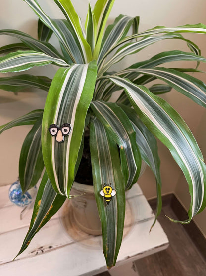 Plant Magnets - glasses and insects!