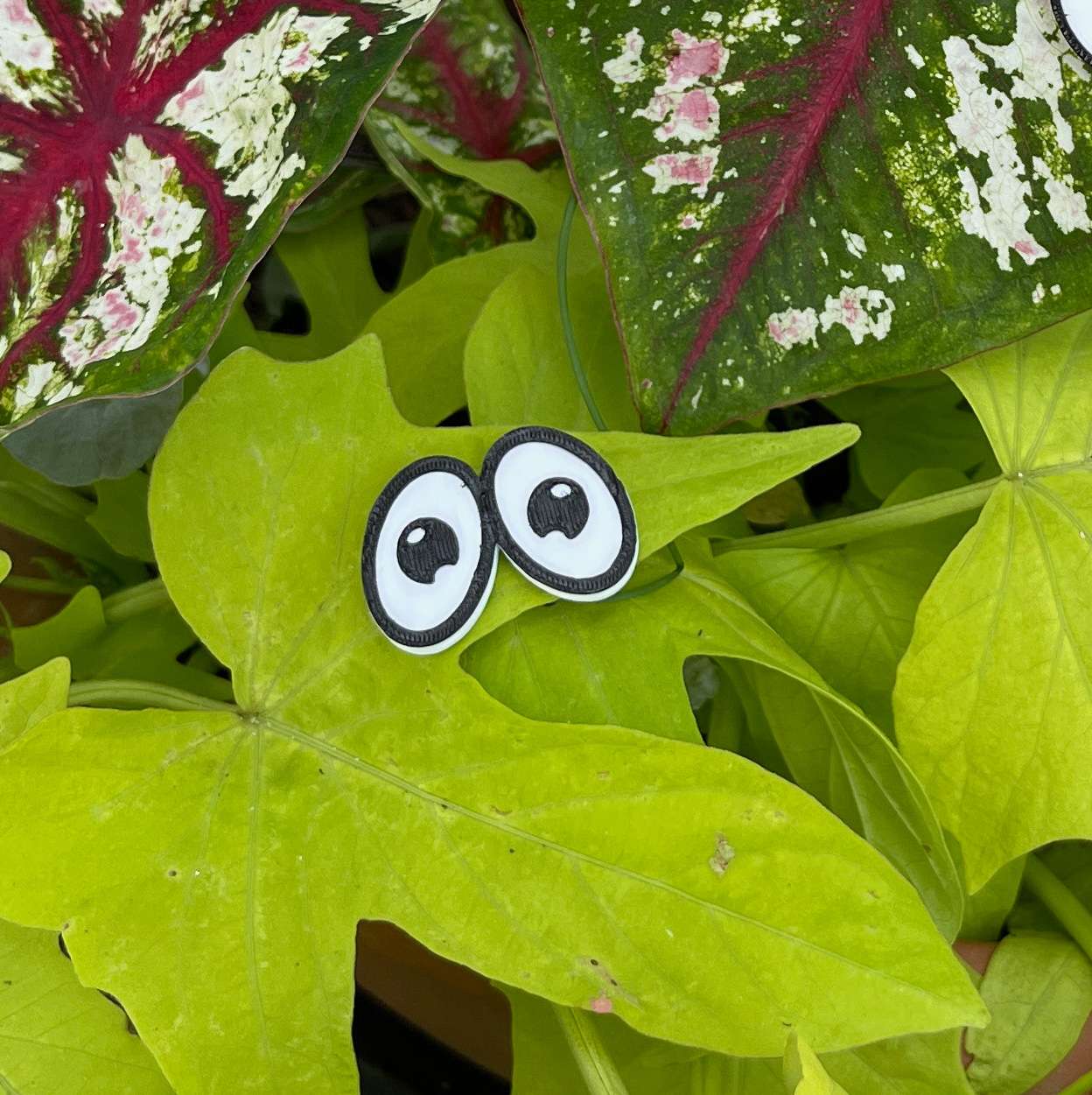 Plant Magnets - glasses and insects!