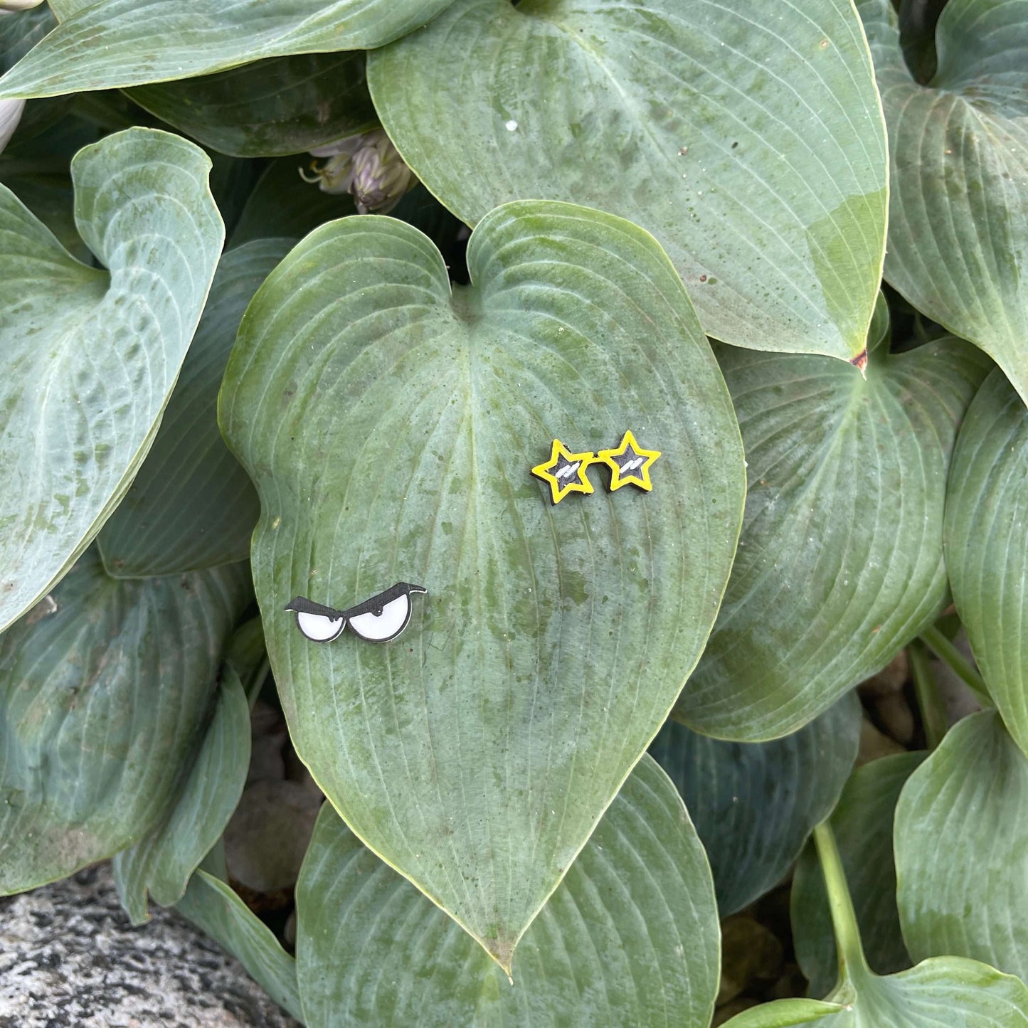 Plant Magnets - glasses and insects!