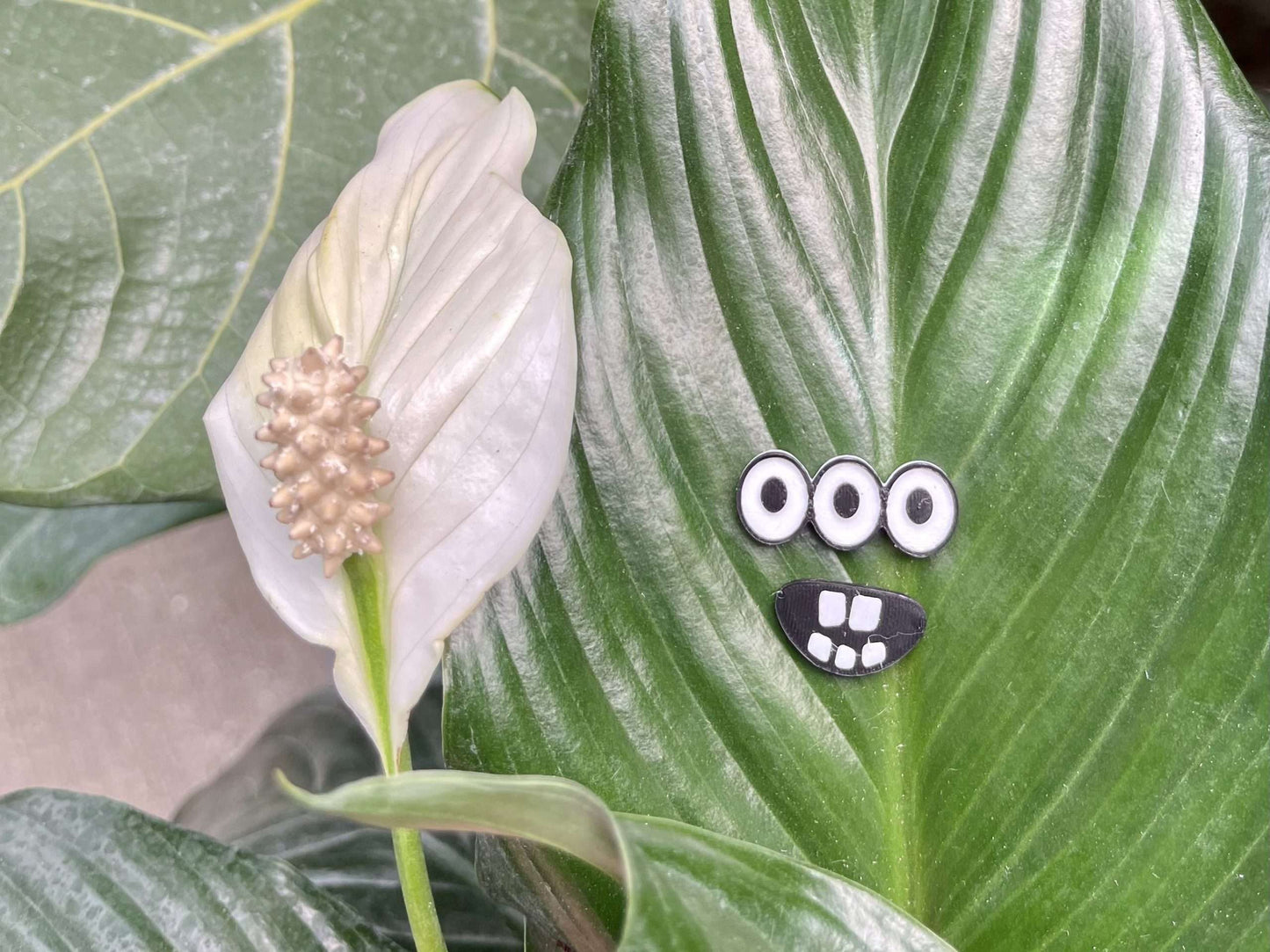 Set of 3 More Plant Monster Magnets!