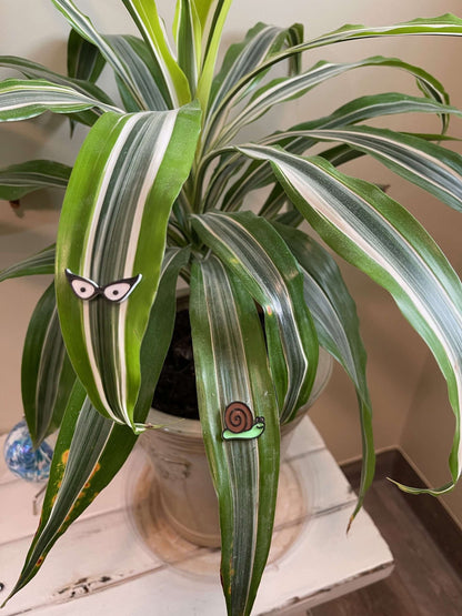 Plant Magnets - glasses and insects!