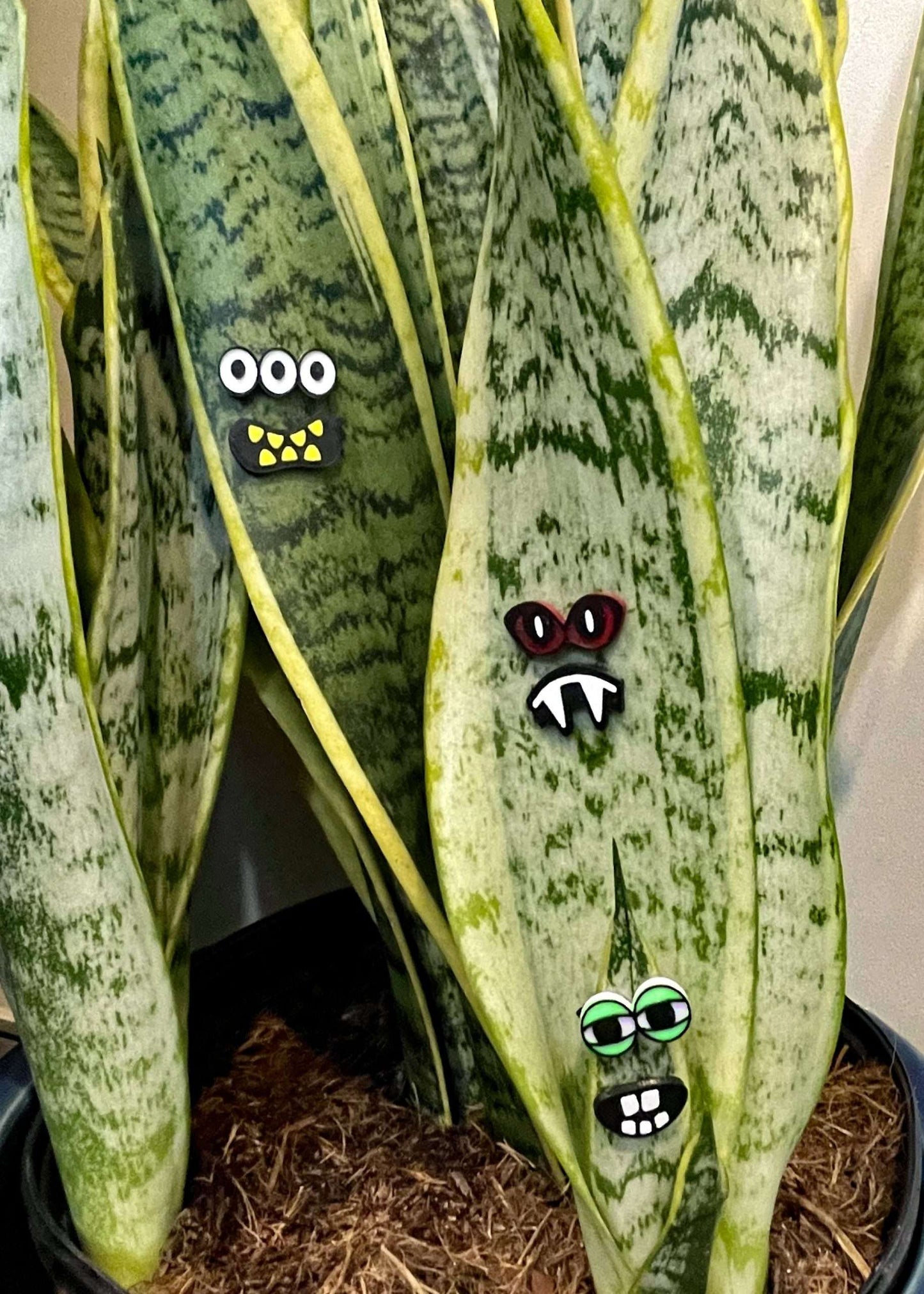 Set of 3 More Plant Monster Magnets!