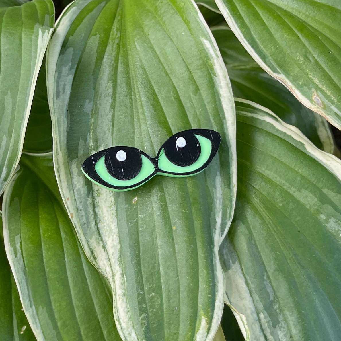 Plant Magnets - glasses and insects!